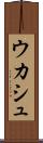 ウカシュ Scroll