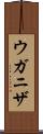 ウガニザ Scroll