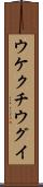 ウケクチウグイ Scroll
