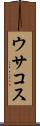 ウサコス Scroll
