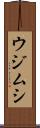 ウジムシ Scroll