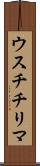 ウスチチリマ Scroll