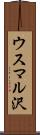 ウスマル沢 Scroll
