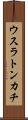 ウスラトンカチ Scroll