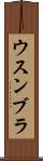 ウスンブラ Scroll