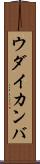 ウダイカンバ Scroll