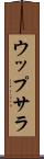 ウップサラ Scroll