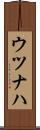 ウツナハ Scroll