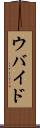 ウバイド Scroll