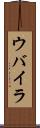 ウバイラ Scroll