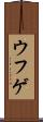ウフゲ Scroll