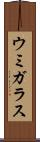 ウミガラス Scroll