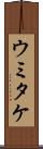 ウミタケ Scroll