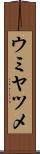 ウミヤツメ Scroll
