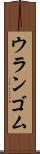 ウランゴム Scroll