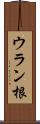 ウラン根 Scroll