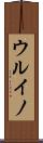 ウルイノ Scroll