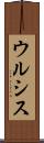 ウルシス Scroll