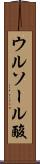 ウルソール酸 Scroll