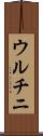 ウルチニ Scroll
