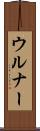 ウルナー Scroll