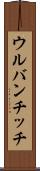 ウルバンチッチ Scroll