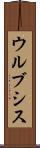 ウルブシス Scroll