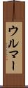 ウルマー Scroll