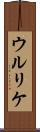 ウルリケ Scroll