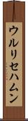 ウルリセハムン Scroll