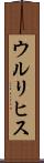 ウルリヒス Scroll