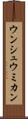 ウンシュウミカン Scroll