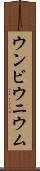 ウンビウニウム Scroll