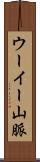 ウーイー山脈 Scroll