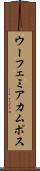 Eufemia Campos Scroll