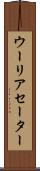 ウーリアセーター Scroll