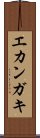 エカンガキ Scroll