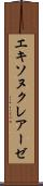 エキソヌクレアーゼ Scroll