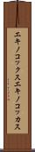 エキノコックス Scroll
