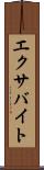 エクサバイト Scroll