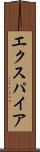 エクスパイア Scroll