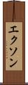 エクソン Scroll