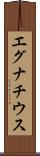 エグナチウス Scroll