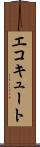 エコキュート Scroll