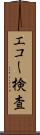 エコー検査 Scroll