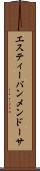 Estevan Mendoza Scroll