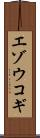 エゾウコギ Scroll