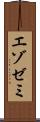 エゾゼミ Scroll