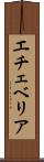 エチェベリア Scroll