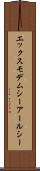 エックスモデムシーアールシー Scroll